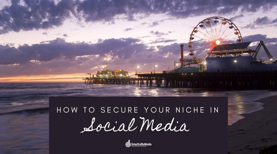 how-to-boost-your-niche-with-the-help-of-a-digital-marketing-agency-in-Los-Angeles