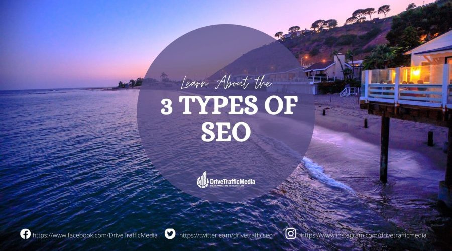 What are the 3 kinds of Los Angeles SEO Let’s find out! (1)