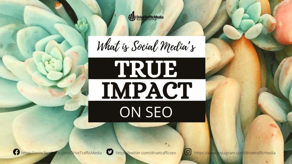 how-useful-is-Los-Angeles-SEO-on-your-favorite-social-media-platforms